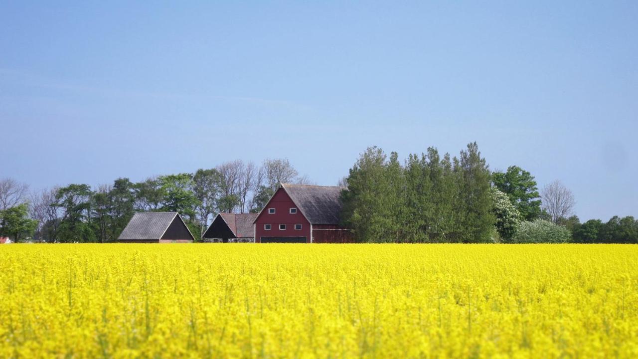 Vikens Bed And Breakfast Viken  Exterior photo